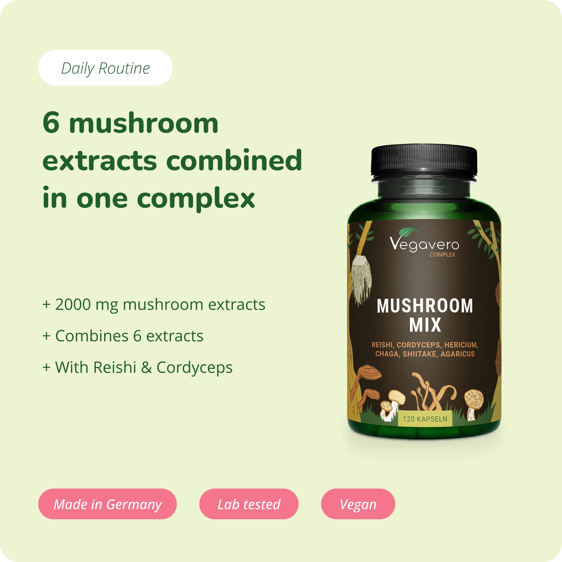 Mushroom Mix Complex Capsule