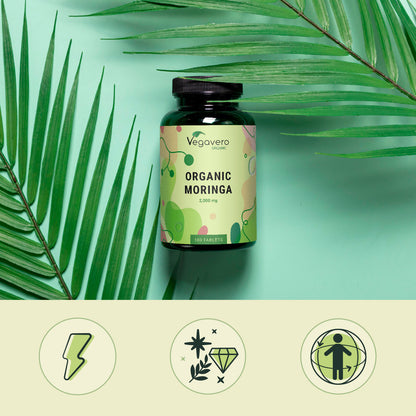 Moringa Oleifera Compresse Bio