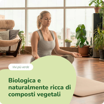 Moringa Oleifera Compresse Bio