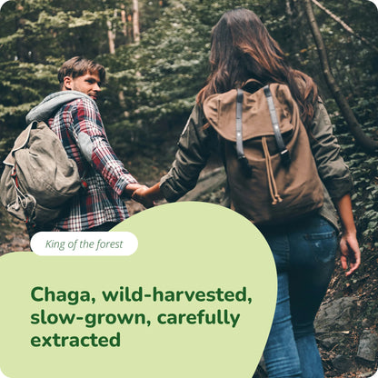 Chaga Estratto Capsule Bio