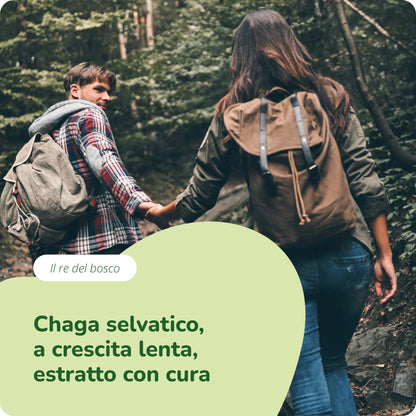 Chaga Estratto Capsule Bio