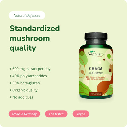 Chaga Estratto Capsule Bio