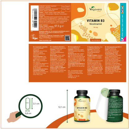 Vitamina B3 Capsule