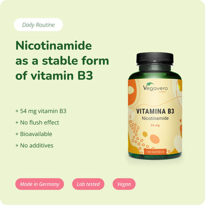 Vitamina B3 Capsule
