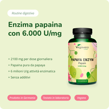 Papaya Enzimi Capsule