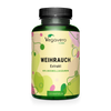 Boswellia Estratto Capsule
