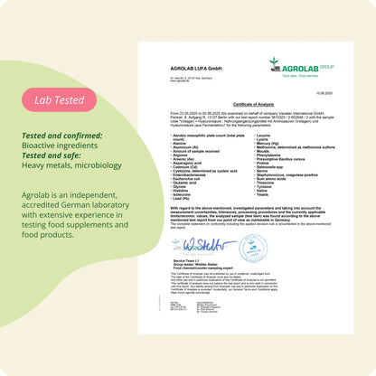 Vollagen + Acido Ialuronico Complex Capsule