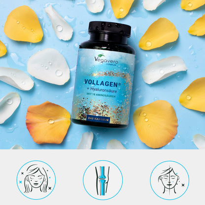 Vollagen + Acido Ialuronico Complex Capsule