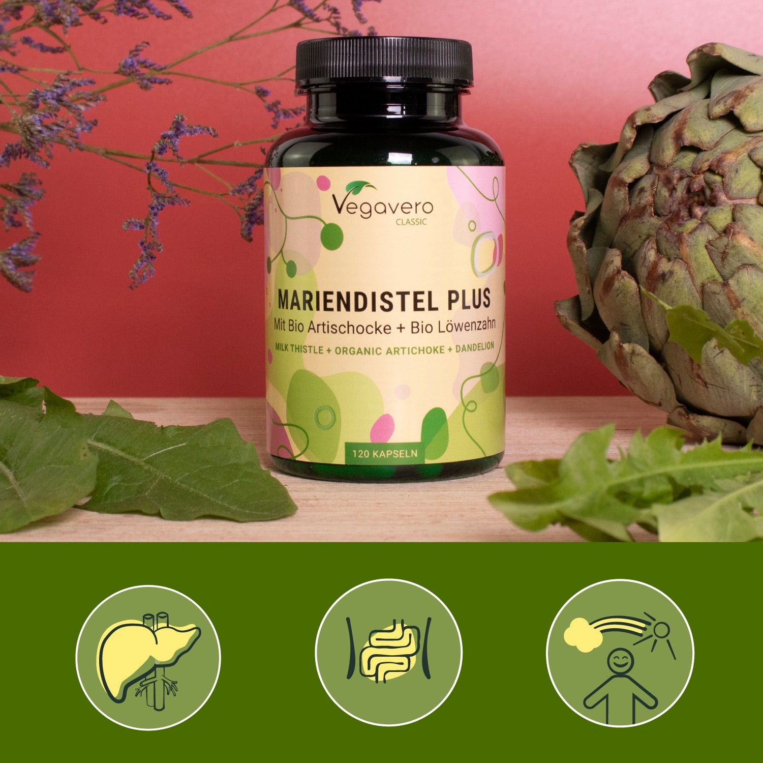 Cardo Mariano Plus Capsule