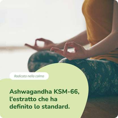 Ashwagandha KSM-66 Estratto Capsule Bio
