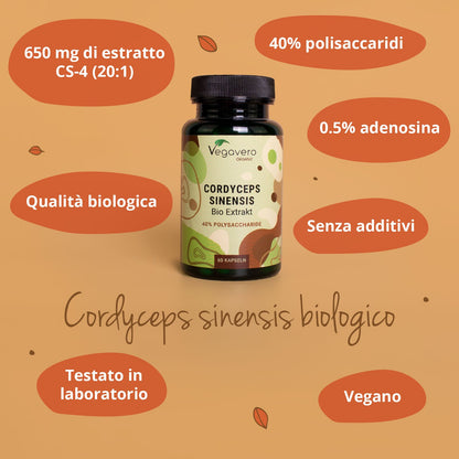 Cordyceps Sinensis Estratto Capsule Bio