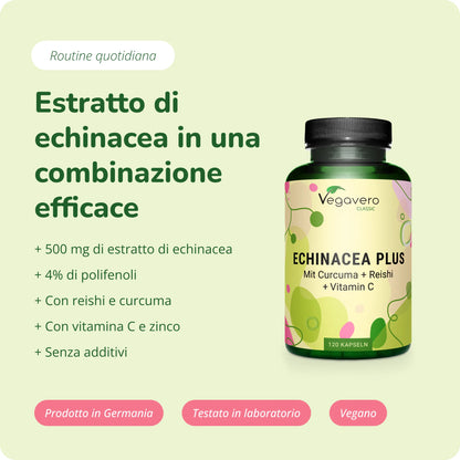 Echinacea Plus Capsule