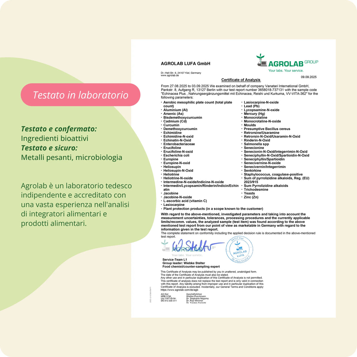 Echinacea Plus Capsule