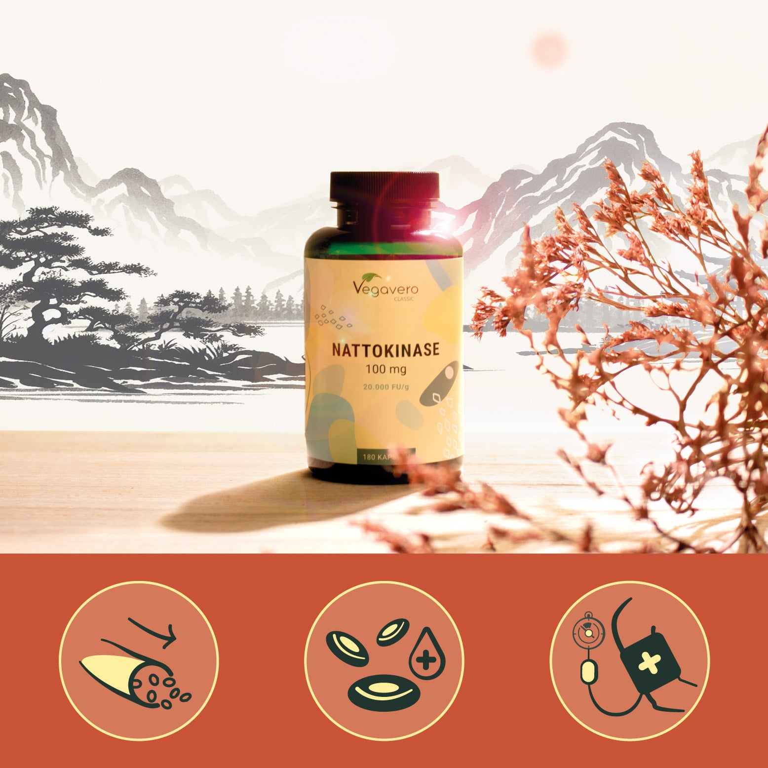 Nattokinase Capsule