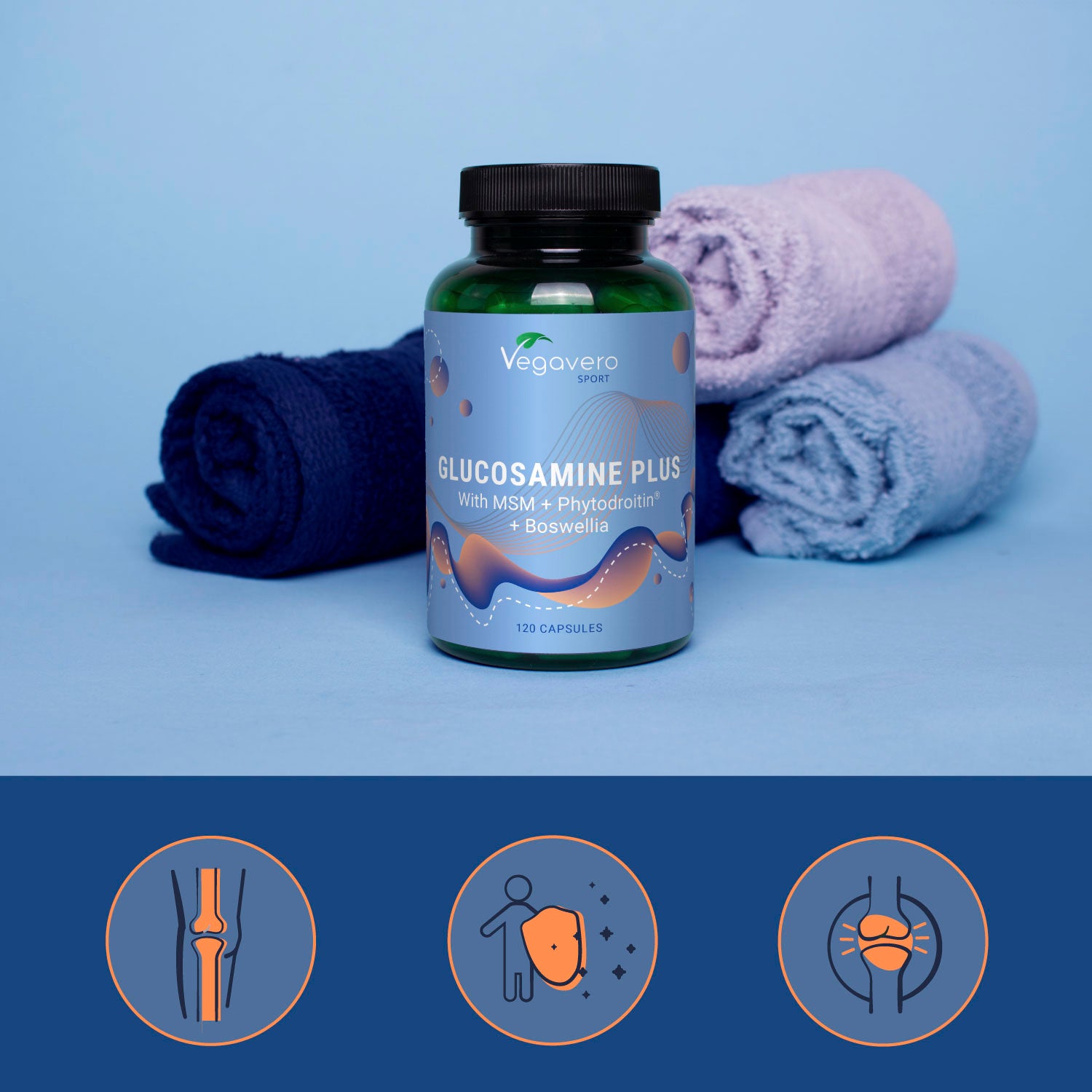 Glucosamine Plus Capsule