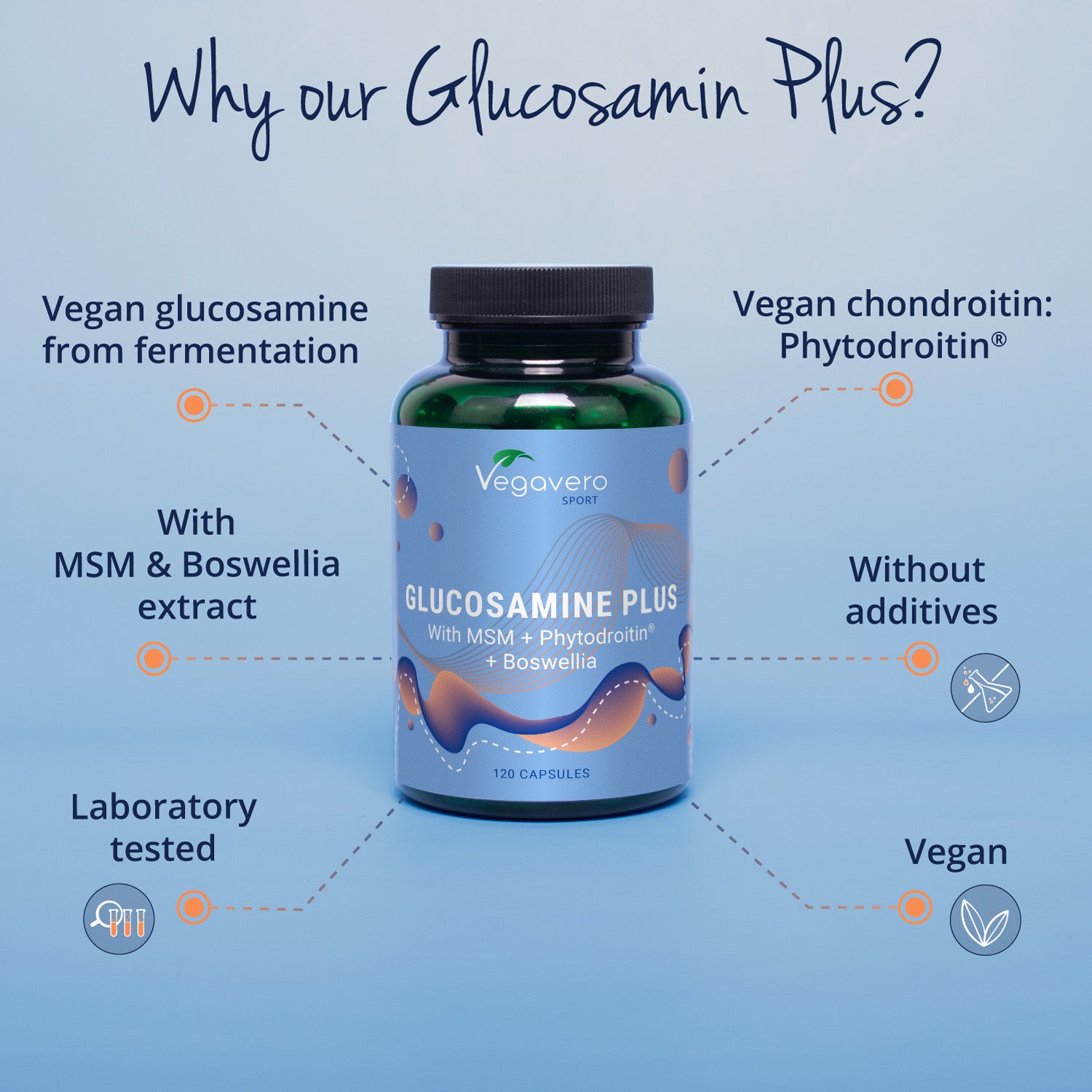 Glucosamine Plus Capsule
