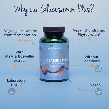 Glucosamine Plus Capsule