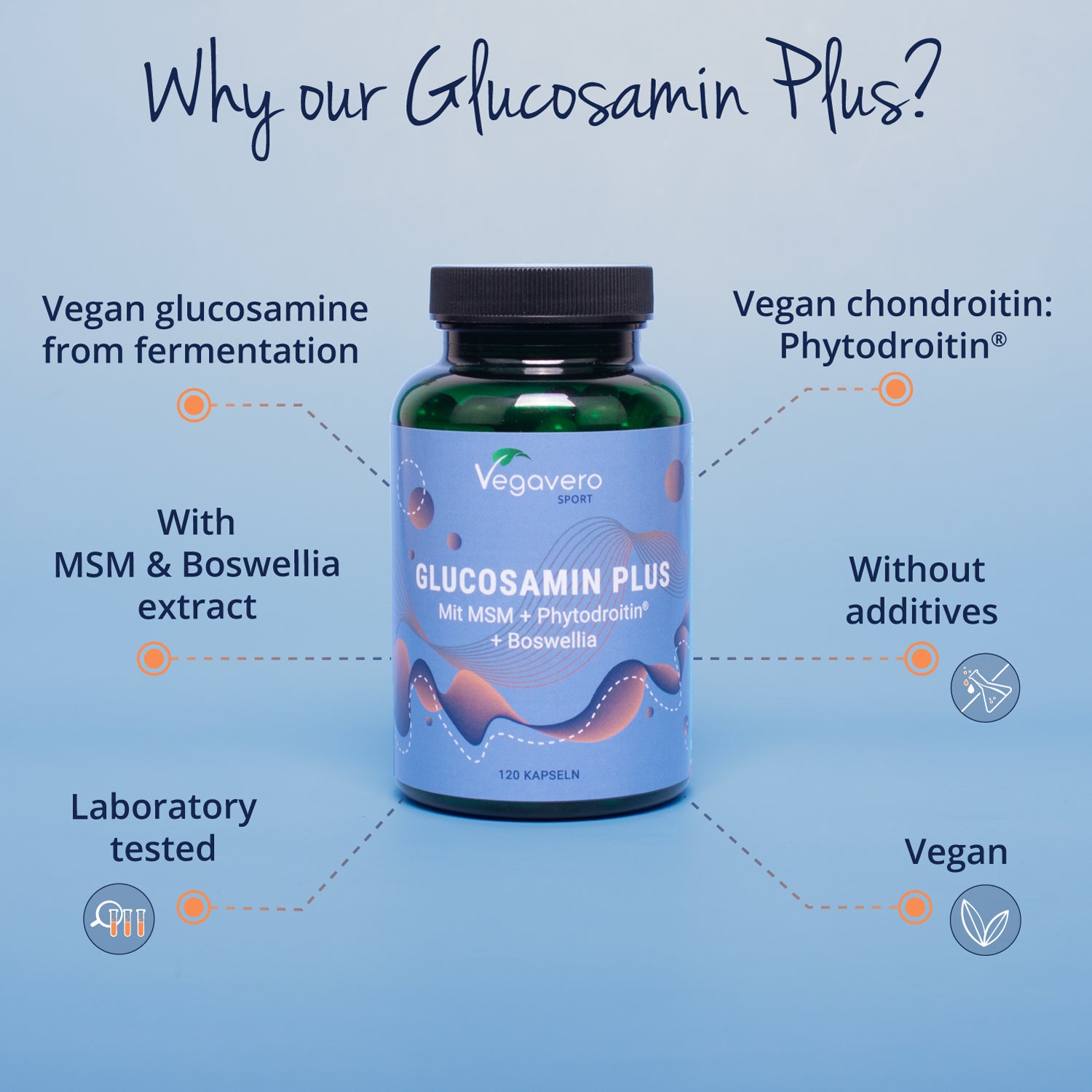 Glucosamine Plus Capsule