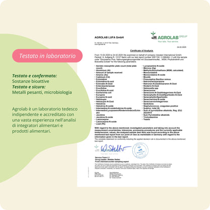 Glucosamine Plus Capsule