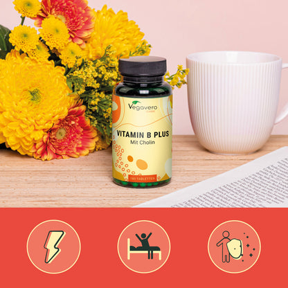 Vitamina B Plus Compresse