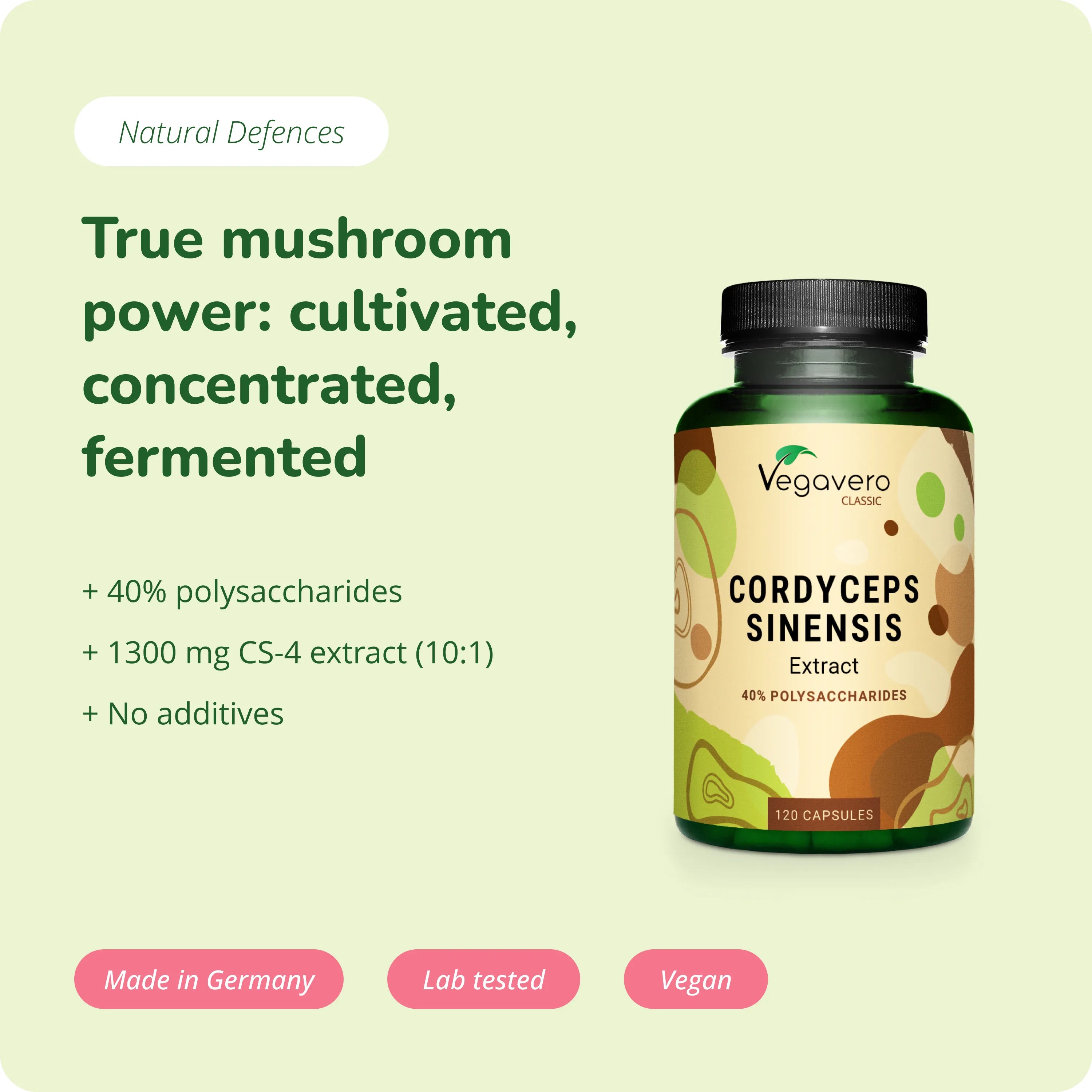 Cordyceps Sinensis Estratto Capsule