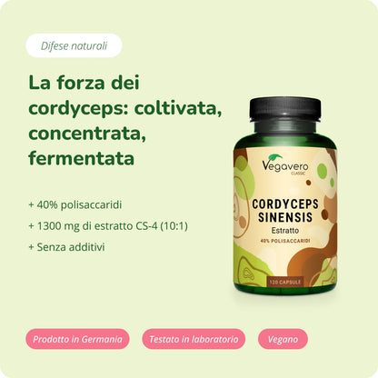 Cordyceps Sinensis Estratto Capsule
