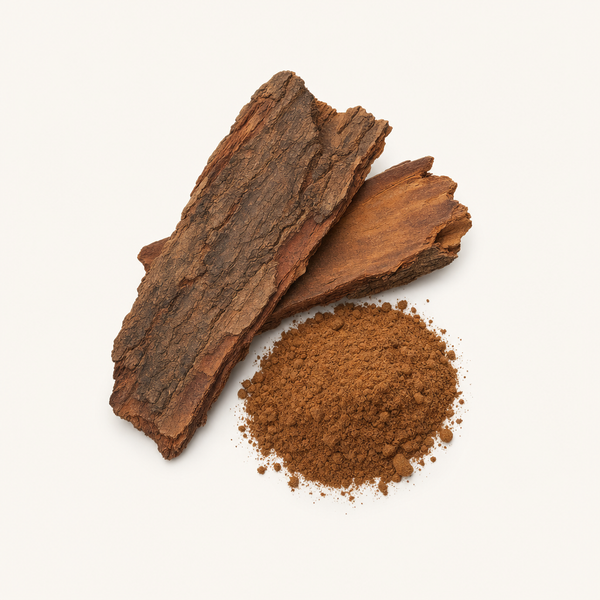 Estratto di Corteccia di Cerezo Africano (10 % steroli)