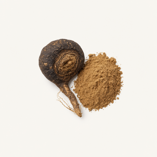 Estratto di Maca Nera 0,6% macamidi e macaeni