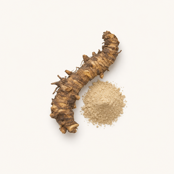 Estratto di rizoma di pungitopo 5%