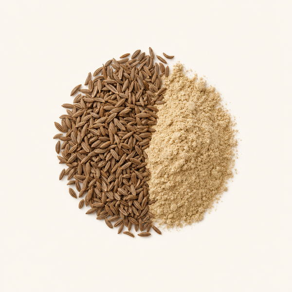 Polvere di frutta di olio di cumino dei prati
