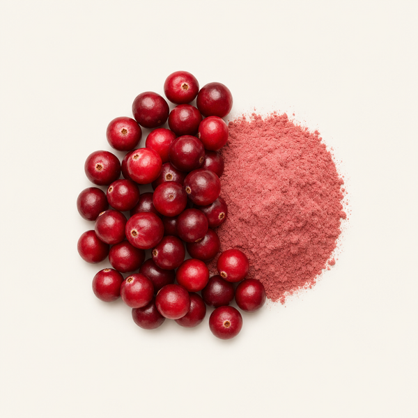 Estratto di frutto di mirtillo rosso 25%