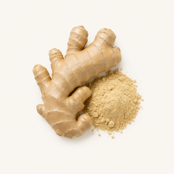 Estratto di rizoma di zenzero (Zingiber officinale) 5% gingeroli