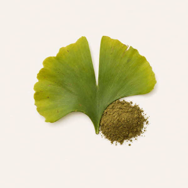 Estratto di foglie di Ginkgo biloba 24%