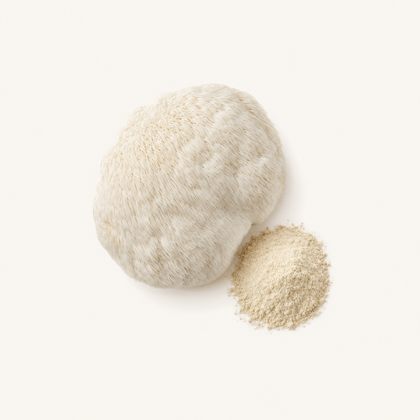Estratto biologico del corpo fruttifero di Lion's mane (Hericium erinaceus)