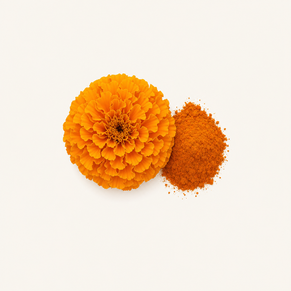 Estratto di calendula (XanMax®)