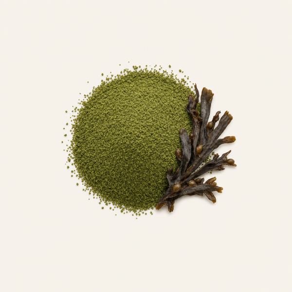 Natural Jod Bio PureSea®