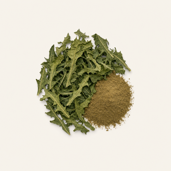 Estratto biologico di foglie di tarassaco (3% acido clorogenico)
