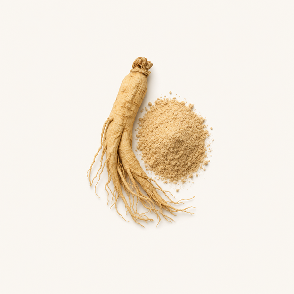 Blend di Estratto di Panax Ginseng (20 % Ginsenosidi)
