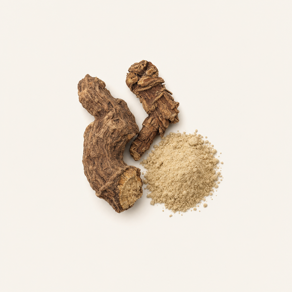 Estratto di radice di Rhodiola rosea - Rhodiolife®