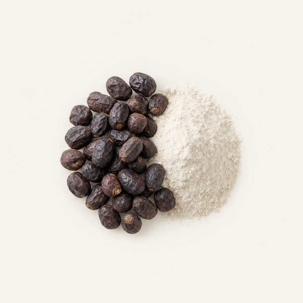 Estratto di frutto di palma nana americana (Serenoa repens) (45 % acidi grassi)