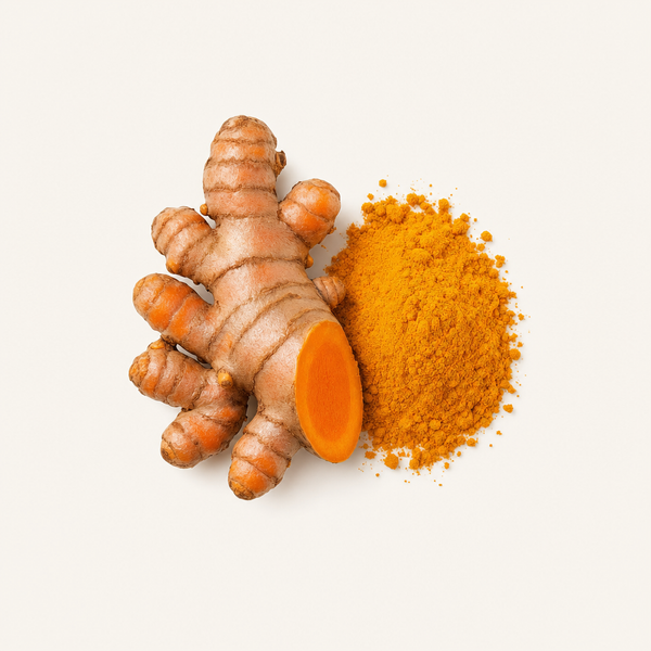 Estratto di rizoma di curcuma 95%